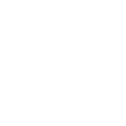 Servicios
